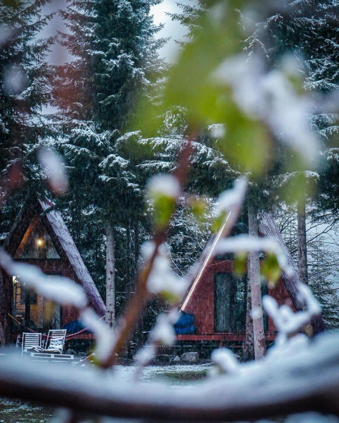 Bude Mestia Cottages Dış mekan fotoğraf