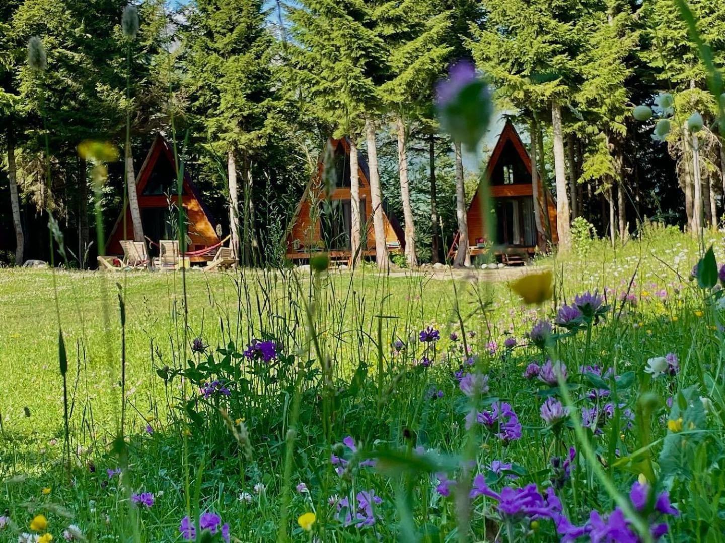 Bude Mestia Cottages Dış mekan fotoğraf