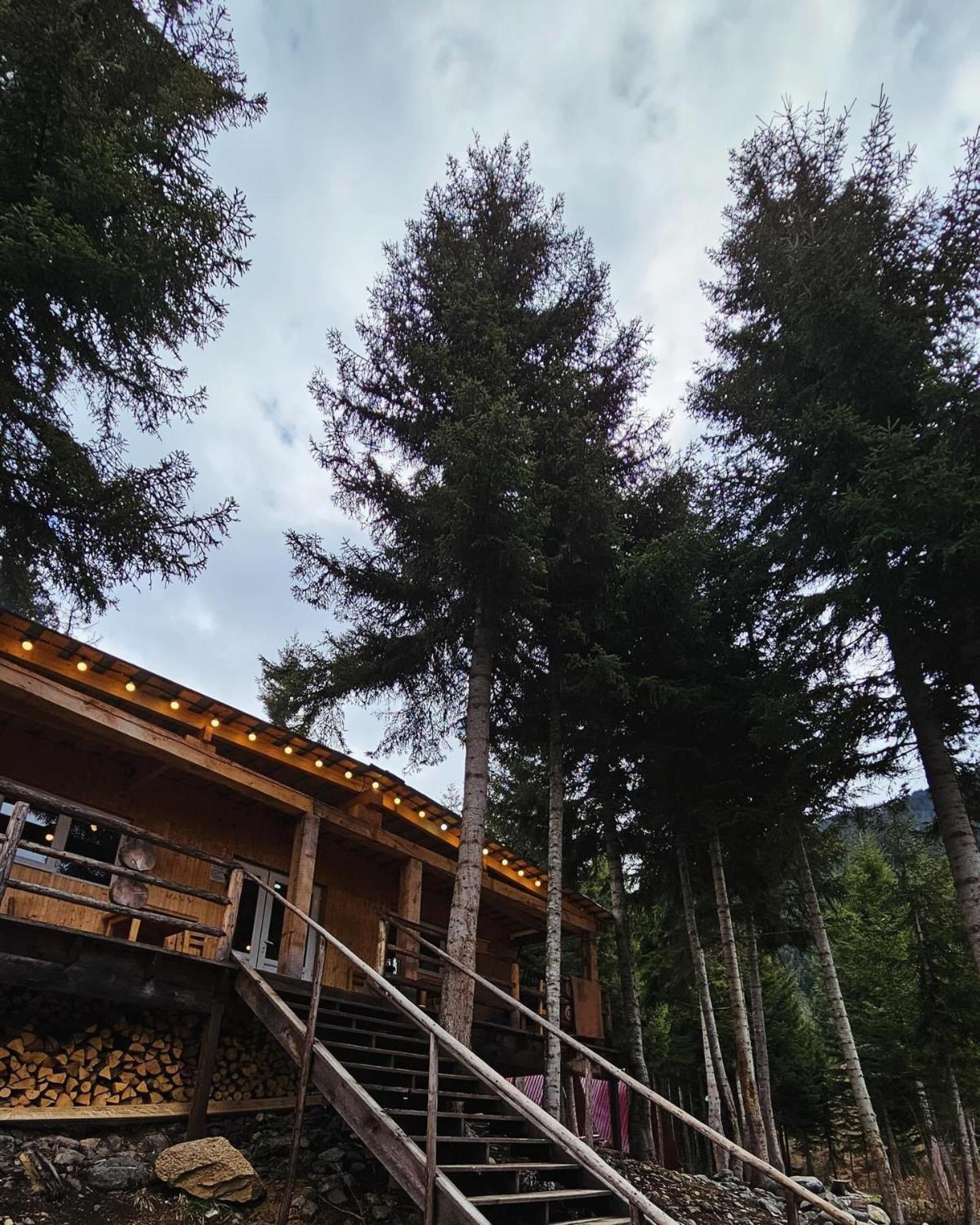 Bude Mestia Cottages Dış mekan fotoğraf