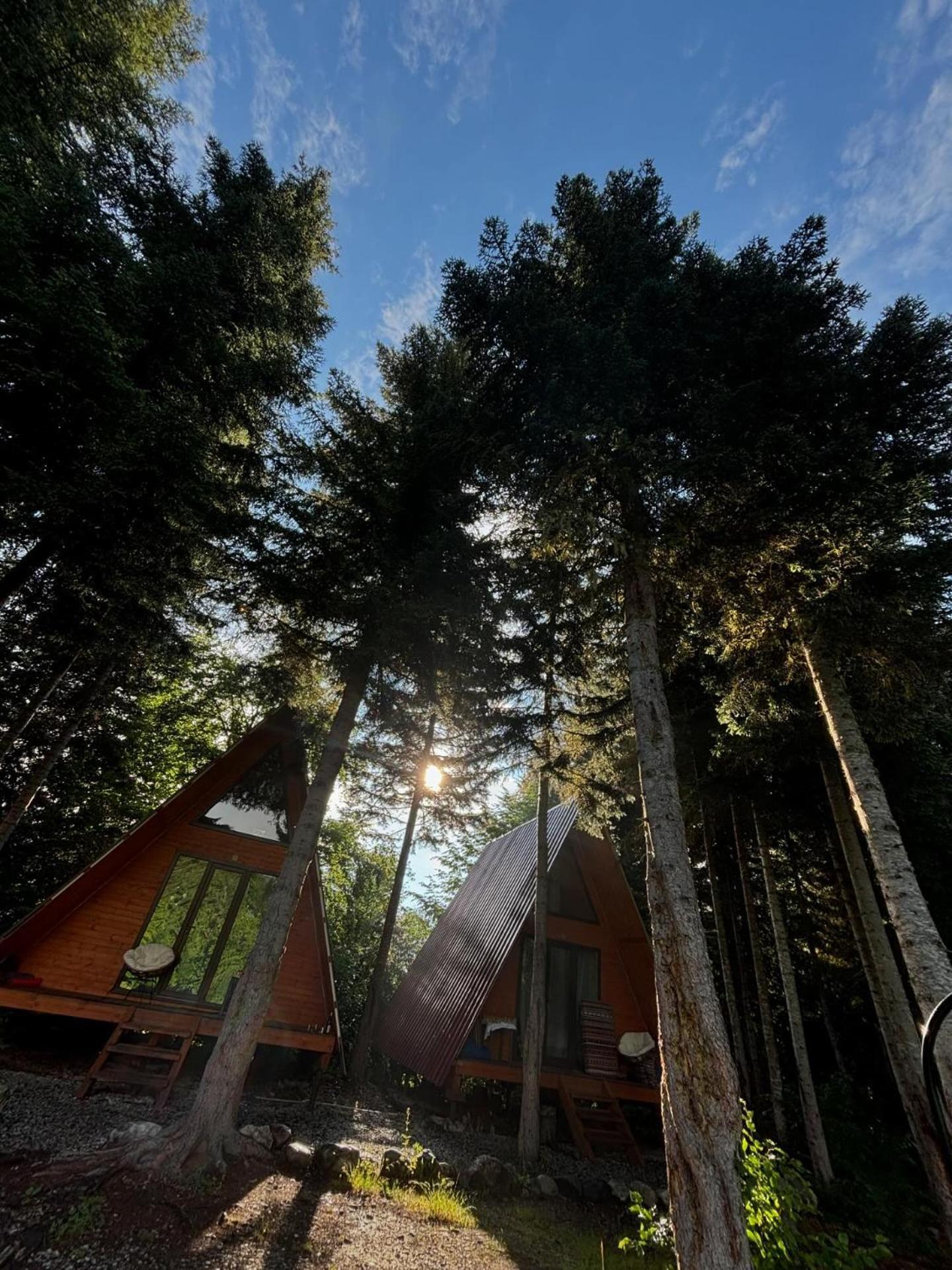 Bude Mestia Cottages Dış mekan fotoğraf